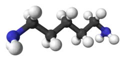 Image illustrative de l’article Cadavérine