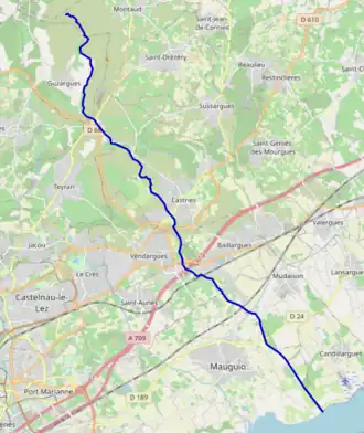Carte.
