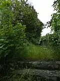 Mur et tour dans la cour de la clinique de la Miséricorde.