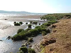 Golfe à marée basse. En arrière-plan, la côte anglaise.