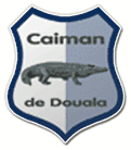 ancien logo