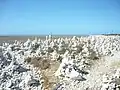Cairns désormais prohibés au phare de Chassiron.