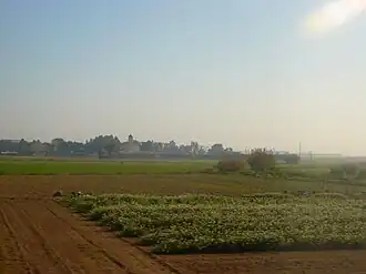 Champs du delta, El Prat de Llobregat.
