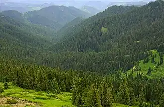 Image illustrative de l’article Forêt nationale d'Umpqua