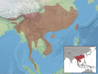 Description de l'image Callosciurus erythraeus distribution.png.