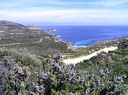 Plage  de l'Alga.
