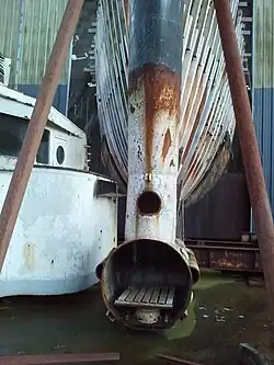 intérieur du bulbe d'étrave.