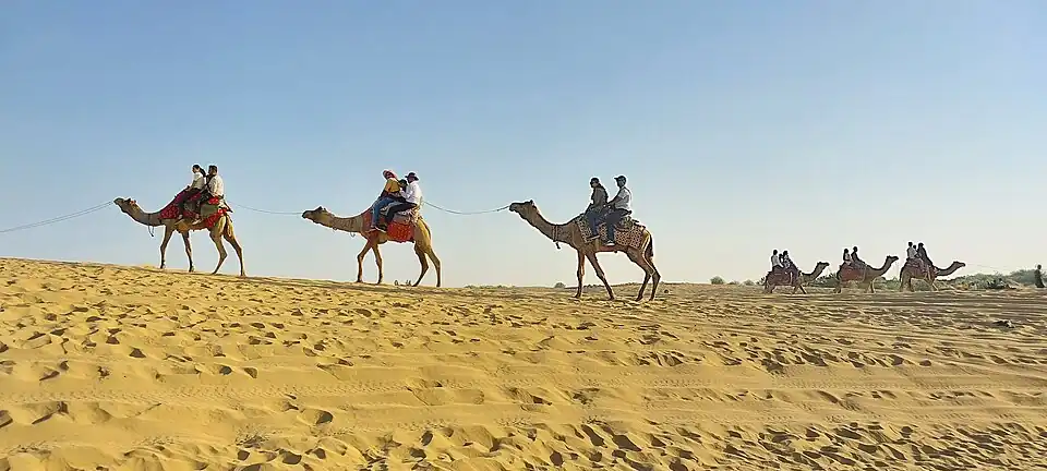 Balades à dos de chameau à Jaisalmer