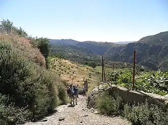 Environs de Mecina