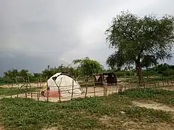 Campement touareg