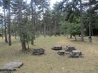 Ruines du camp.