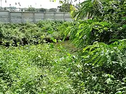 Canal