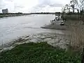 Jonction avec la Charente sur la rive gauche.