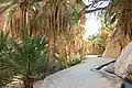 Oued canalisé vers le village.