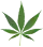icône décorative