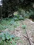 Les rails et câbles de traction.