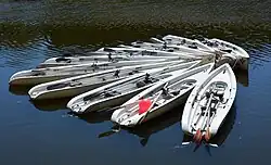 Aviron de mer