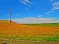 Effet "Super vif" appliqué par l'appareil sur un paysage