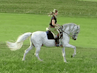 Le galop.