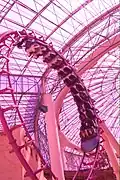 Un des deux loopings du Canyon Blaster.