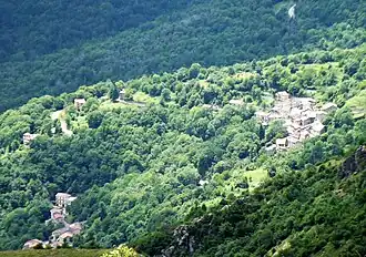 Caprauna