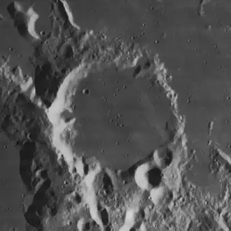 Image illustrative de l'article Capuanus