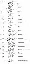 Caractères numériques utilisés par la Princesse Caraboo, avec leurs significations.