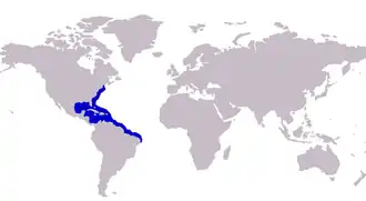 Description de l'image Carangoides bartholomaei distribution.png.