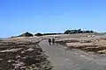 La passe vers l'île Callot, à marée basse, empruntée par de nombreux touristes.
