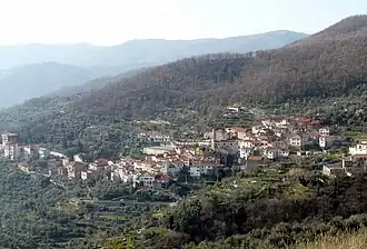 Caravonica