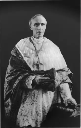 Image illustrative de l’article Désiré-Joseph Mercier