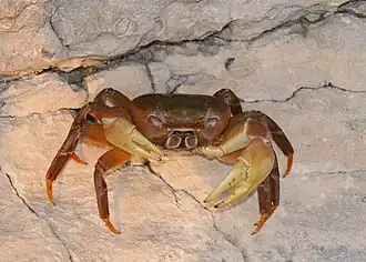 Description de cette image, également commentée ci-après