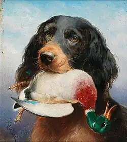 Setter Gordon portant un canard Colvert (sans date)