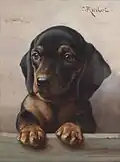 Jeune teckel (sans date)