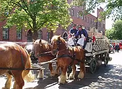 vue de profil d'un lourd wagon d'attelage et de quatre chevaux qui le tirent.