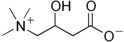 Image illustrative de l’article Carnitine