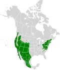 1978-1981