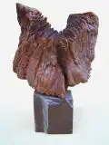 (sem titulo)Dimensões (cm): 50x37x22