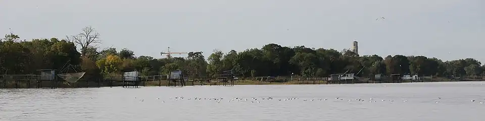 L'estuaire de la Gironde est classé parc naturel marin et appartient au réseau Natura 2000. La rive gauche fait partie du parc naturel régional du Médoc. Couvrant une superficie de 635&nbsp;km2, c'est le plus vaste estuaire d'Europe.