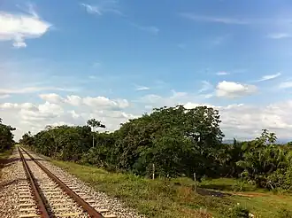 Tamalameque