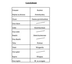 Tableau