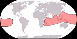 Description de l'image Carte de repartition Coenobita rugosus.jpg.