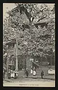 Le Vrai Arbre