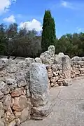 Pilastres dans la maison (10).