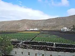 Agriculture locale