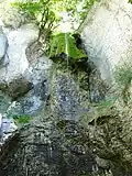 Cascade presque tarie