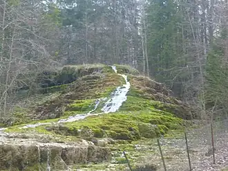 Image illustrative de l’article Forêt d'Auberive