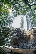 Chute de bangoua