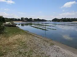 File:Casiers à huitres dans le lac d'Hossegor