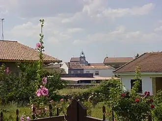 Casillas de Flores